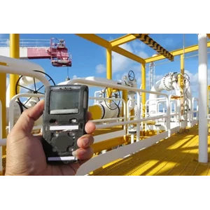 Gas analyzer