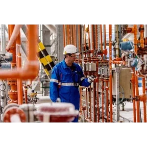 Gas analyzer
